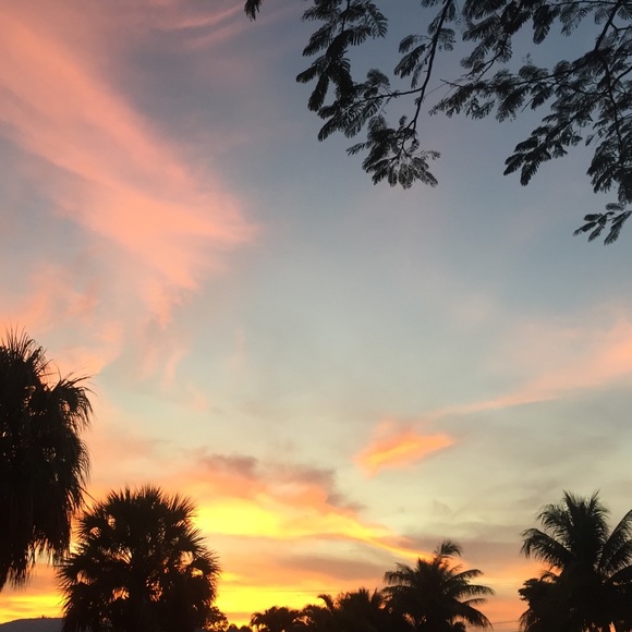 Meet your Posher, Ololivia - Picture 1 of 1